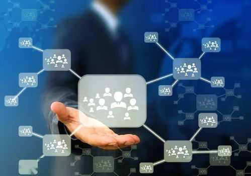 人口流失與技術(shù)變革 30萬臨時居民撤離與人工智能應(yīng)用軟件開發(fā)的交織影響